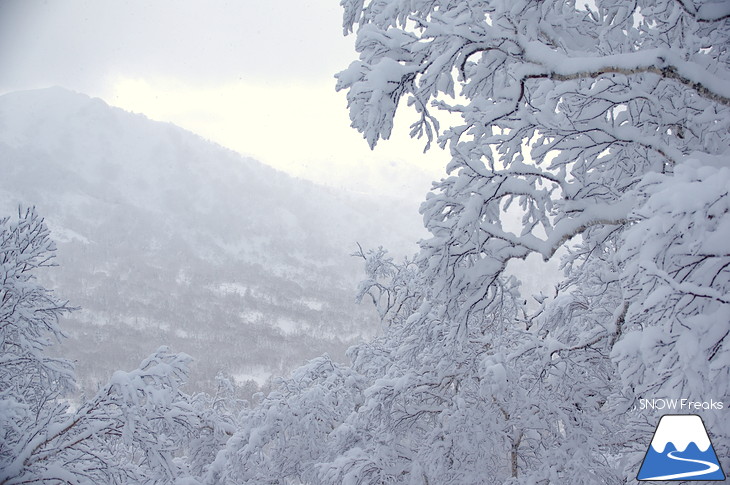 キロロリゾート 児玉毅の『雪山の達人』に密着！